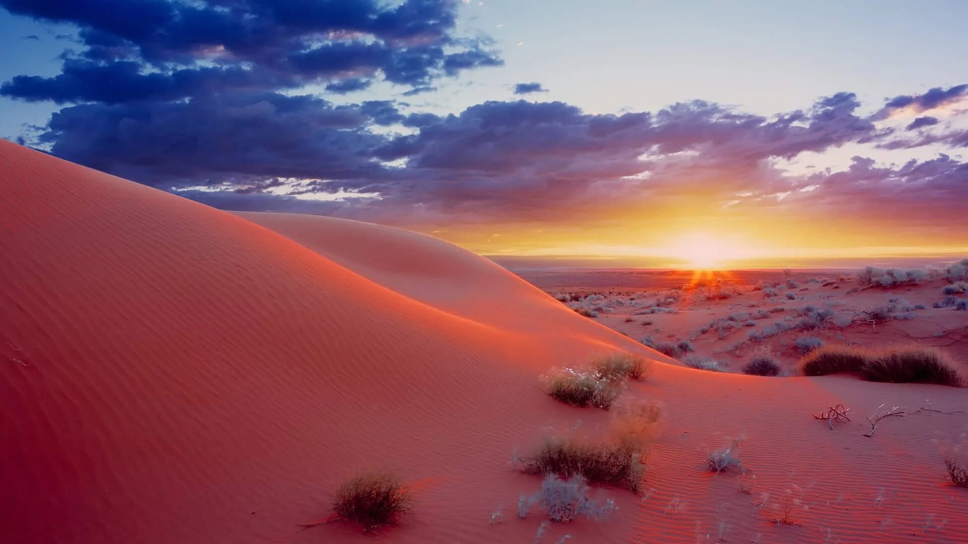 Дюна интересные факты. Песчаная пустыня в Австралии. Заповедник Танами Дезерт Австралия. Пустыня Гибсона Западная Австралия. Тропические пустыни Австралии.