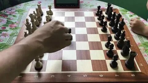 Шахматы научиться играть для начинающих с нуля. Шахматы научиться играть для начинающих с нуля