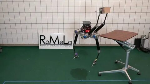 Legged robots