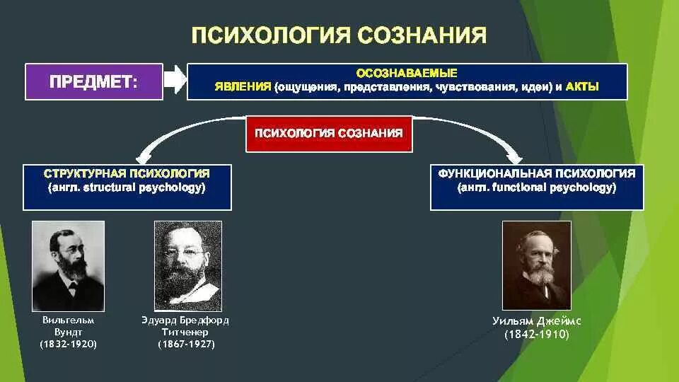 Психологические школы концепции. Структурная психология сознания в.вундта. классическая теория сознания (в.вундт, у.джеймс). психологические теории сознания. сознание (психология).