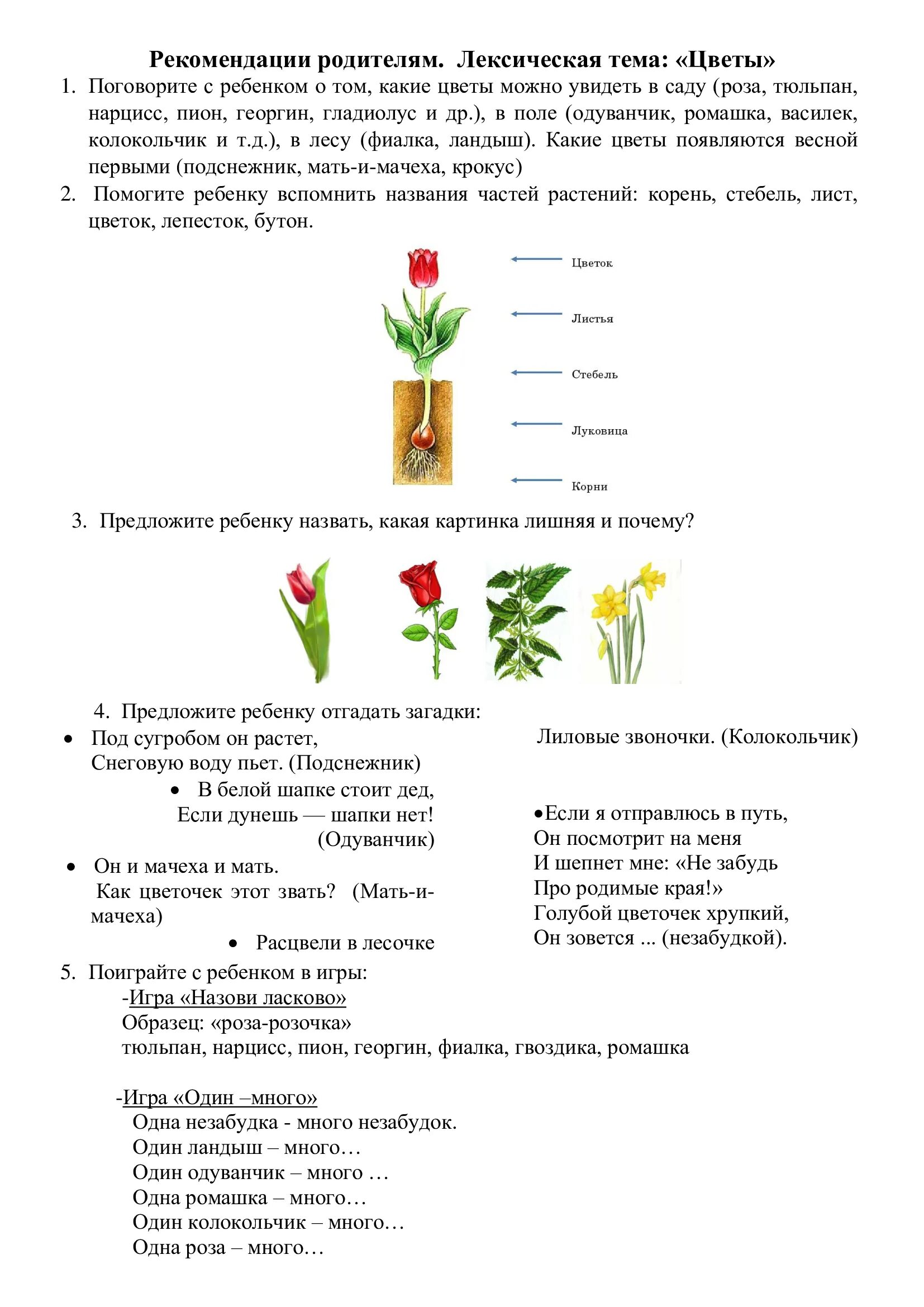 Лексическая тема растения. Рекомендации родителям по лексической теме цветы. Цветы рекомендации для родителей. Лексическая тема комнатные цветы старшая группа. Планирование первоцветы подготовительная группа