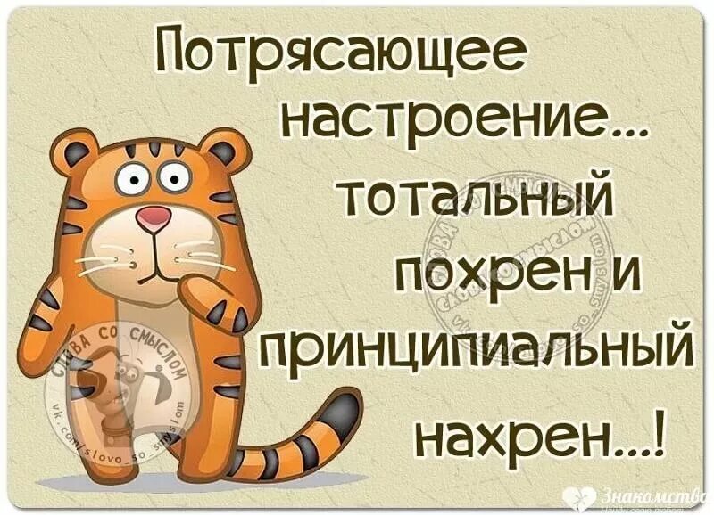 Работает просто скажите что. Статусы про хорошее настроение. Про настроение с юмором. Плохое настроение картинки. Статусы про настроение.