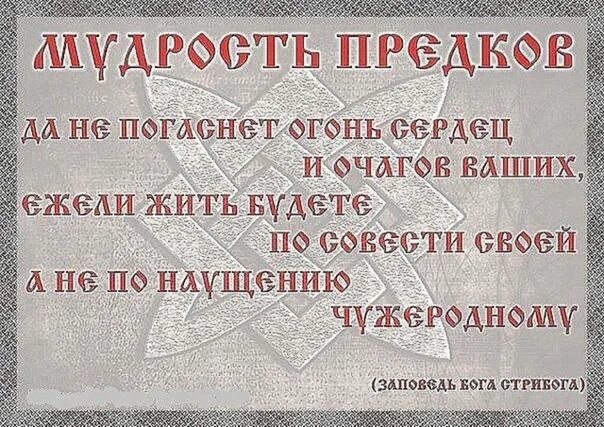 Славянская мудрость. Древнеславянская мудрость. Народной мудрости наши предки. Народной мудрости наши предки. Мудрость народа.