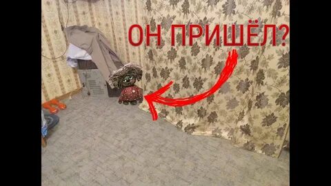 Вызов домой