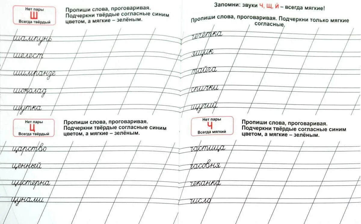 Пропишете или пропишите как правильно