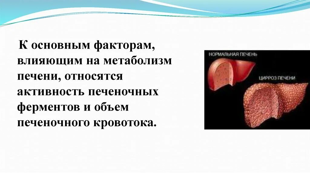 Печень ферменты и функции. Ферменты печени. Основной фермент печени. Активность печеночных ферментов.