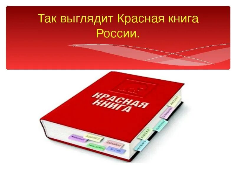 Международная книга россии