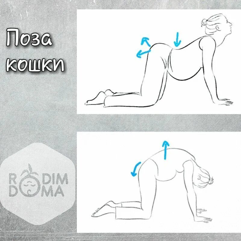 йога для беременных 3 триместр. йога для беременных позы. поза кошки при беременности. поза кошки при беременности. поза кошки при беременности.
