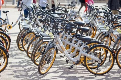 Аренда велосипедов петербург