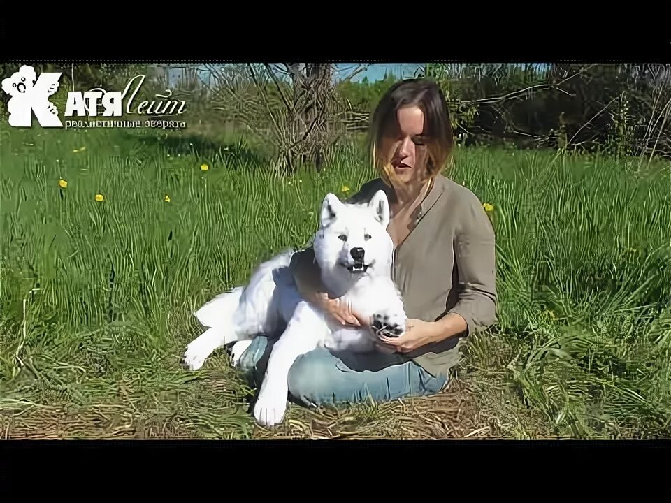 Катя лейт игрушки цена и фото Куклы. Выкройки кукол. Мастер классы. Алиэкспрес Куклы своими руками. ВКонтакте