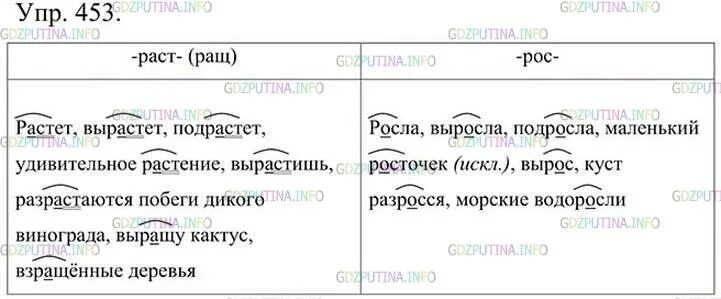 Росла растет выросла вырастет подросла. Русский язык 5 класс упражнение 453. Русский язык 5 класс ладыженская 2 часть упражнение 453. Русский язык 5 класс номер 453 гдз. Русский язык 5 класс 2 часть стр 35 упражнение 453.