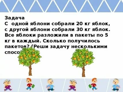 С одной яблони собрали
