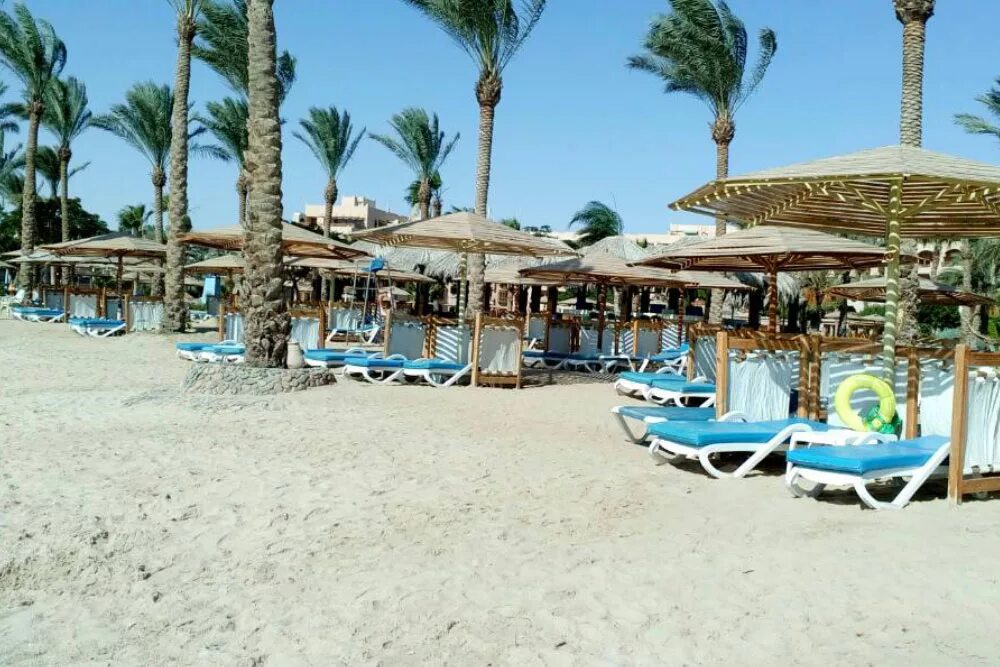 Египет Continental Хургада. Континенталь отель Хургада. Continental Hotel Hurghada 5. Continental Hotel Hurghada 5 фото.