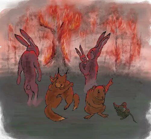 Пожар в лесу и звери. Звери бегут от пожара. Пожар Лесной животные. Животные убегают от огня.