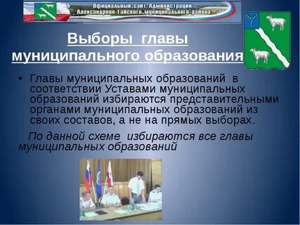 Муниципальные выборы глава