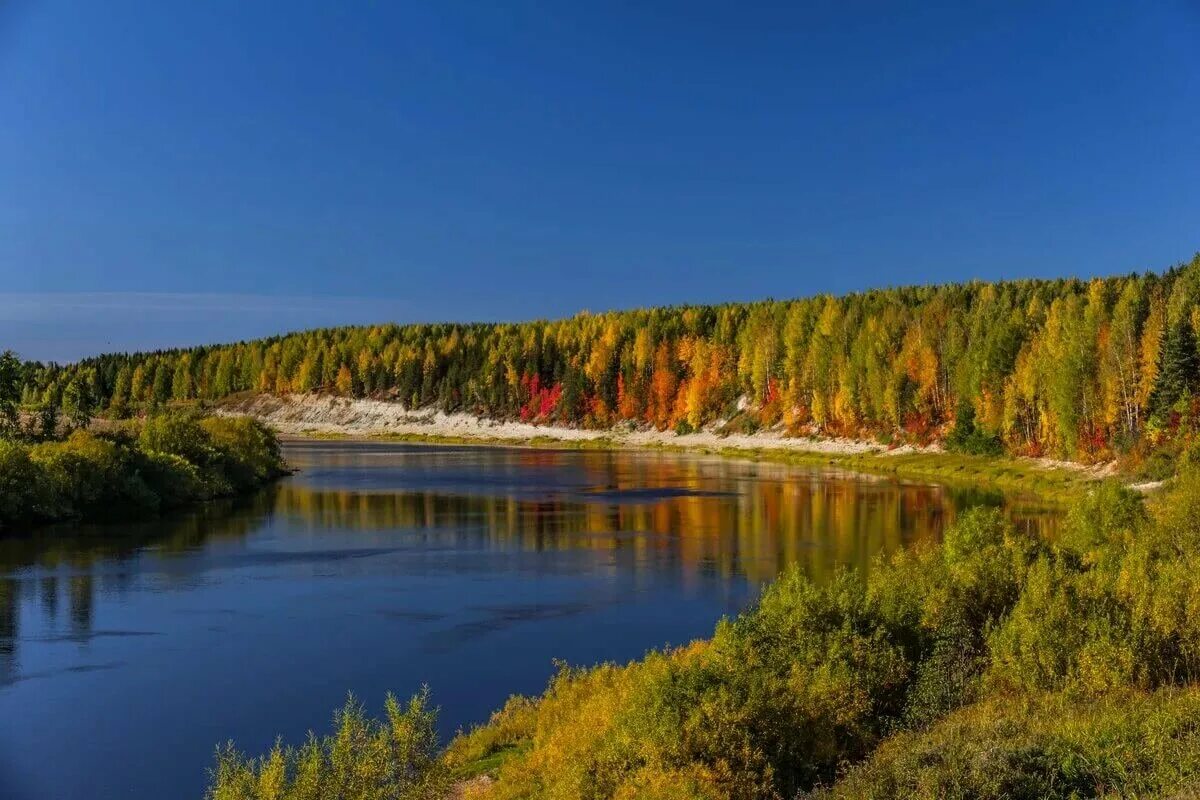 Город печора республика коми. Лесные массивы республики коми. Река кожва. River republic. Река уса коми усинск.