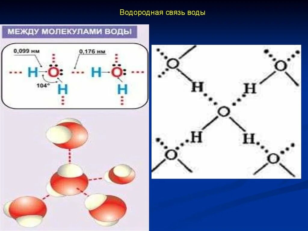 Молекулярная связь воды