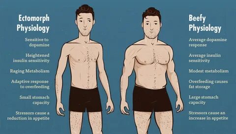 Ectomorph