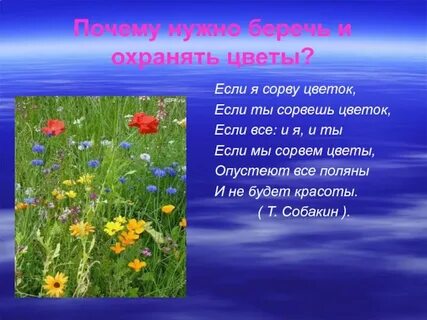 Если бы я была цветами