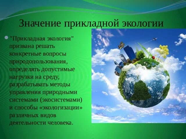 Экологическое значение территории. Экологическое значение территории