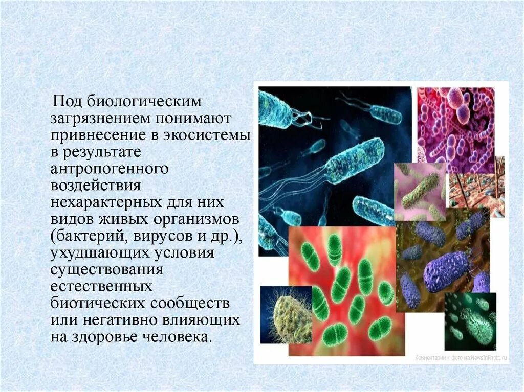 Живые организмы физико химические. Биологическое загрязнение. Биологическое загрязнение окружающей среды. Биологические загрязнители. Биологические загрязнители окружающей среды.