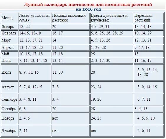 Через сколько нужно пересаживать