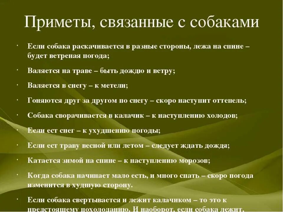 Приметы связанные с собаками. Народные приметы про собак. Приметы про животных. Суеверия и народные приметы о собаках. Приметы пришла собака