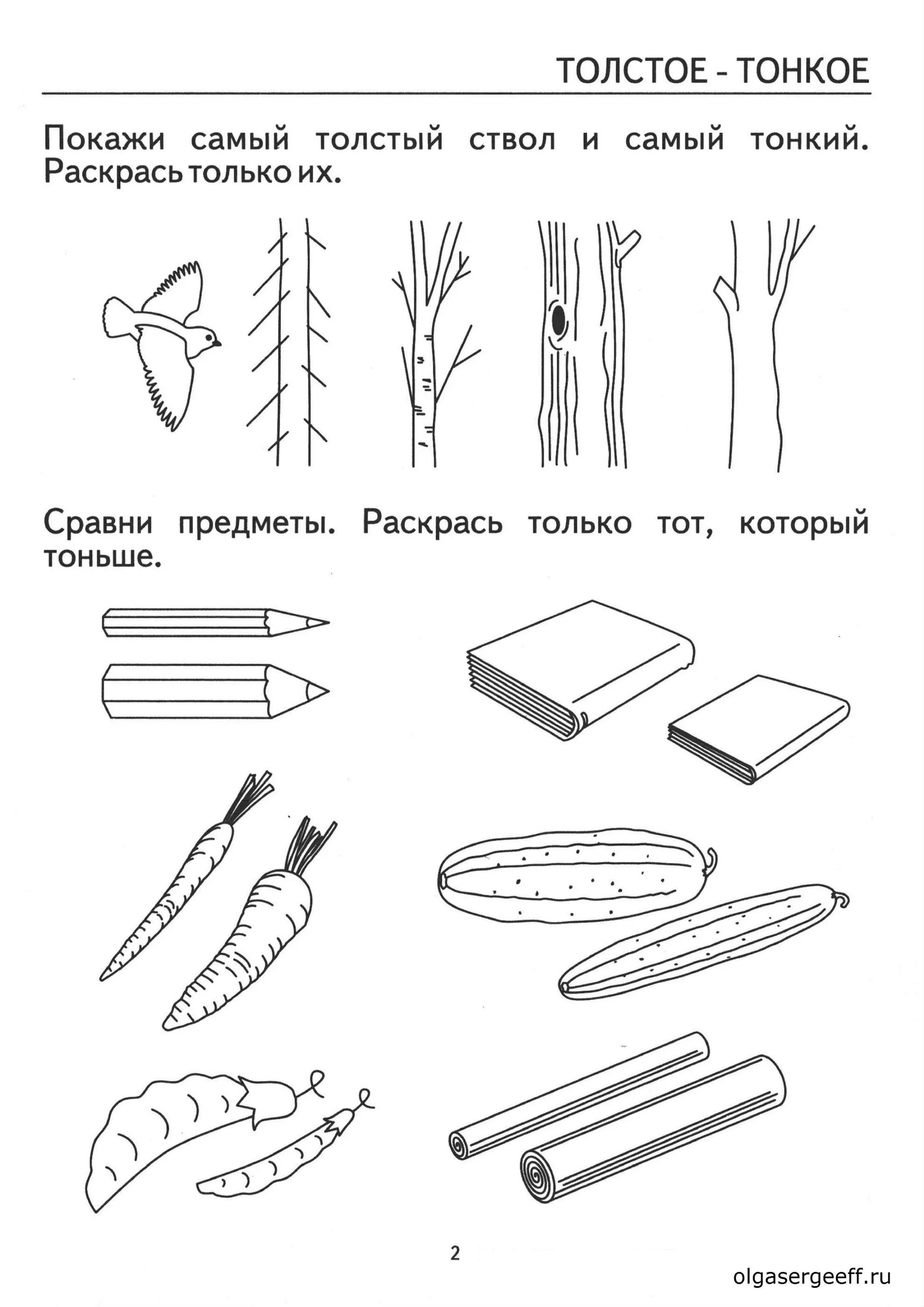 Сравнение по высоте в средней. Широкий узкий задания для детей 4-5 лет. Толще тоньше задания для дошкольников. Толстый тонкий задания для дошкольников. Понятие толстый тонкий для дошкольников.