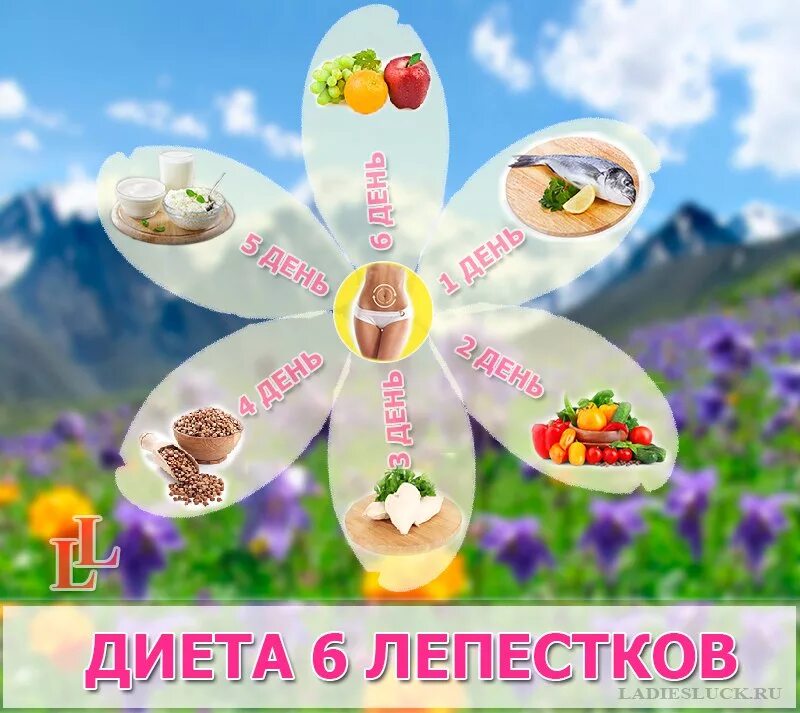 Семь лепестков меню. Лепестковая диета. 6 лепестков. диета шесть лепестков. диета 6 лепестков картинки.