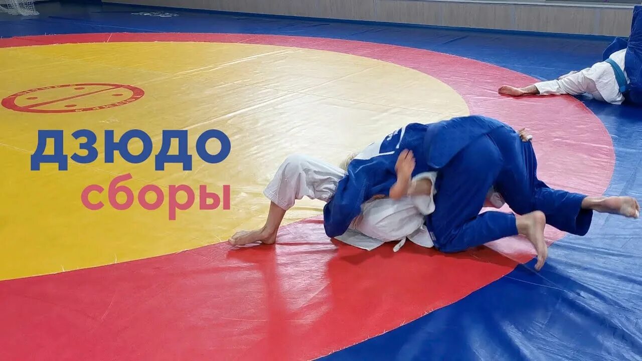 Учебно тренировочный сбор самбо 70. Universal sport saroyi. Турнир победа по самбо 2024 сергиев посад. Сборы по самбо. Сборы по самбо 2024.