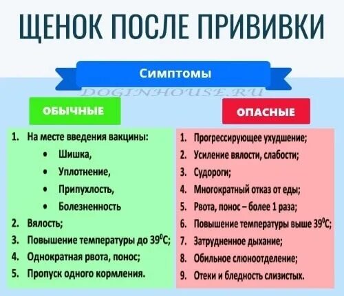 Сколько длится карантин у щенка