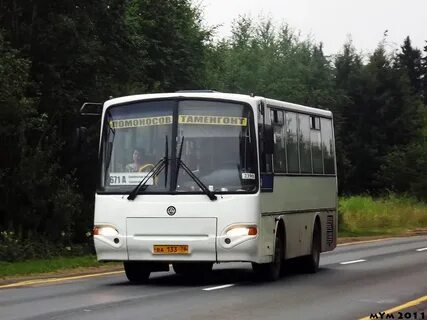 Спб южный автобус