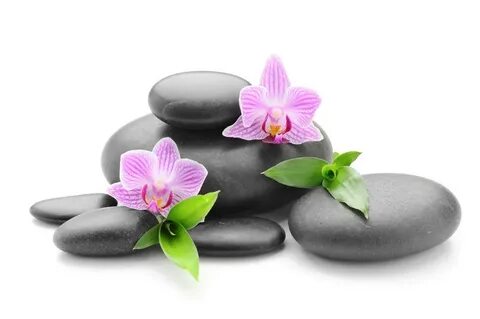 Spa concepts