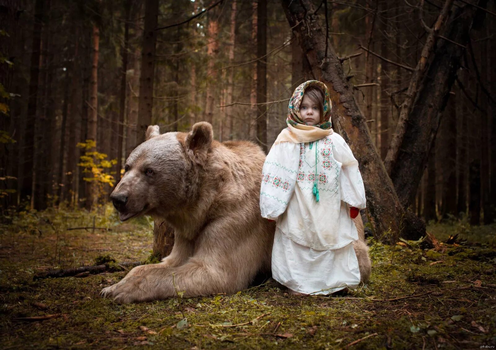 Фотосессия с медведем. Девочка и медведь.