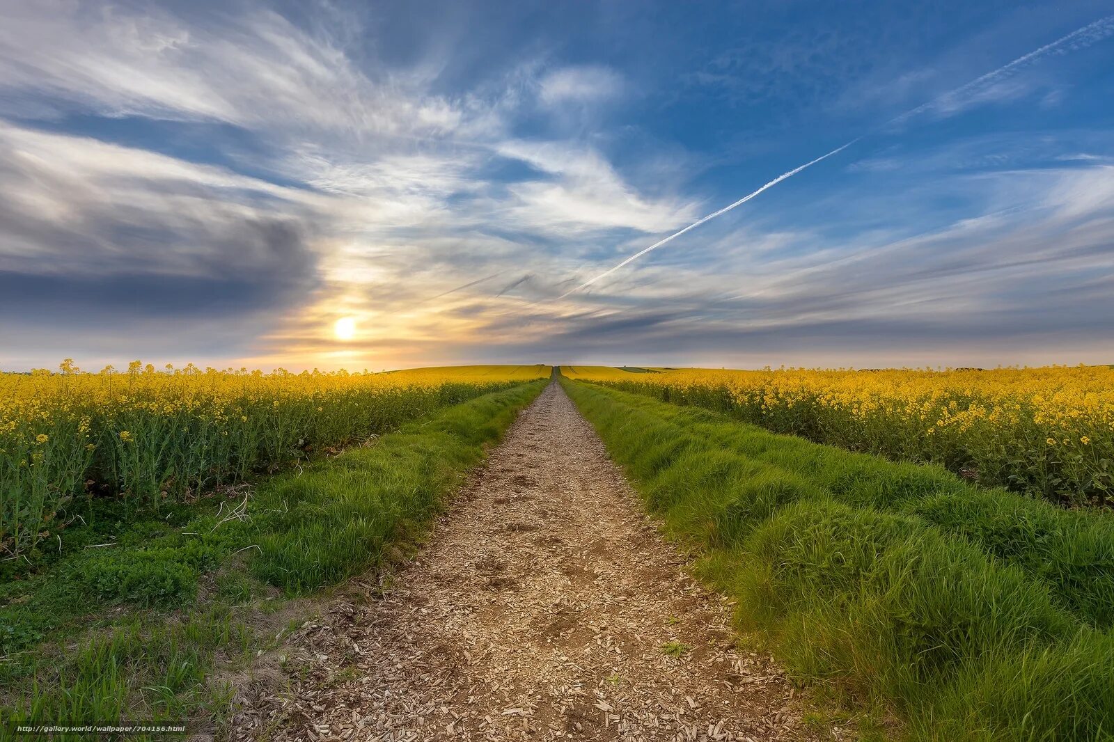 Тропинка в поле. Дорога в поле. Поле с дорогой. Проселочная дорога. Fields field html