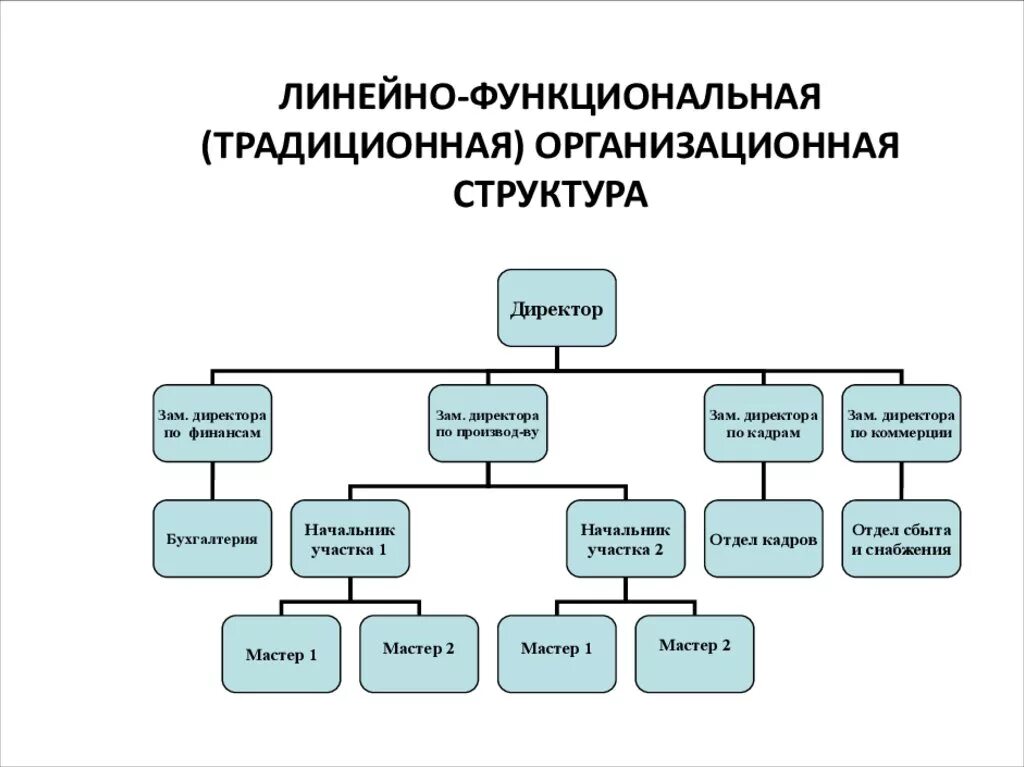 Линейно-функциональная оргструктура на заводе. Линейно-функциональный Тип организационной структуры. Линейно-функциональный Тип организационной структуры управления. Схема линейно-функциональной структуры управления предприятием. Функциональная форма управления