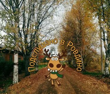 Подслушано в кургане