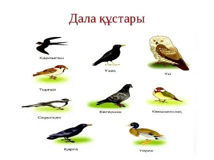 Қайын енем мен әйелімнің порно көргені абдырап қалды