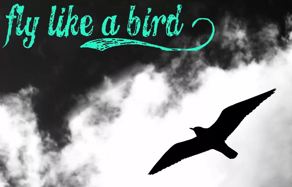 Like flying. Fly like a Bird. Fly like a Bird 1. Fly like a Bird 2. Fly like a Bird 3.