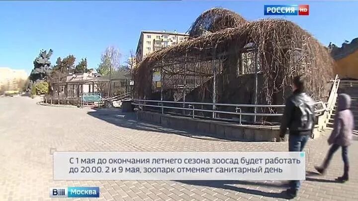 Московский зоопарк санитарный день. График работы Московского зоопарка в мае. Зоопарк понедельник работает. Режим работы на лето Московского зоопарка. Работа в зоопарке на лето