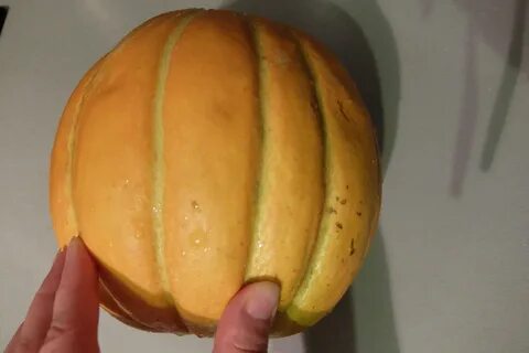 Дыня чудо чудес