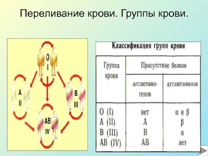 Задачи по биологии на группу крови. Схема переливания крови биология. Схема переливания крови 8 класс биология. Группы крови в биологии переливание. Схема переливания групп крови.