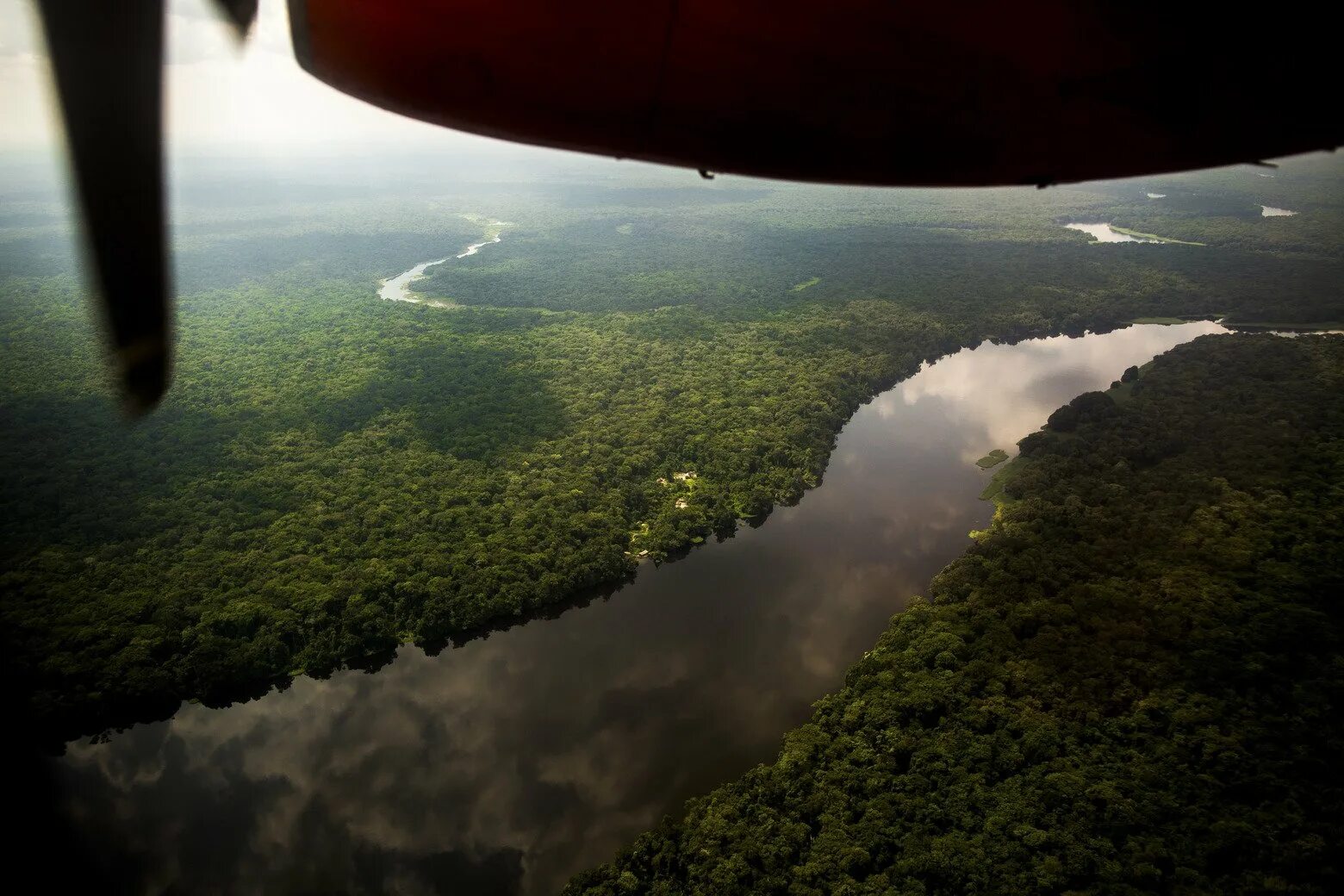 Полноводная река конго. Река Конго национальный парк Салонга. Национальный парк Салонга в Африке. Впадина Конго. Впадина реки Конго.