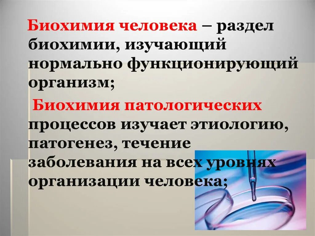 Понятие биохимии. Медицинская биохимия. Биохимия человека. Разделы медицинской биохимии. Биохимия это кратко.