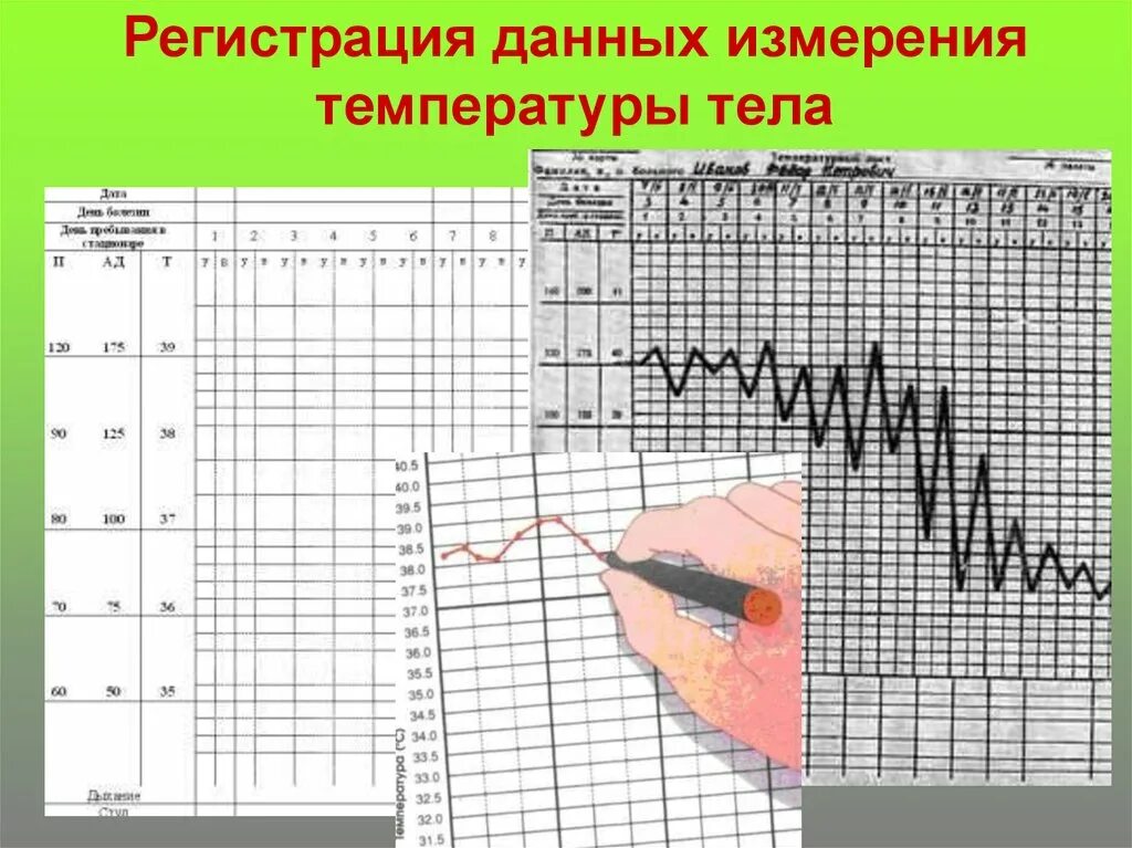 Алгоритм измерения температуры. Измерение температуры тела. Регистрация данных измерения температуры тела. Измерение температуры тела термометрия. Регистрация данных термометрии.