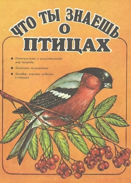 Книги о птицах для детей. Книги о птицах для дошкольников. Книги о зимующих птицах для детей. Книи для детец о зимующих птицах.