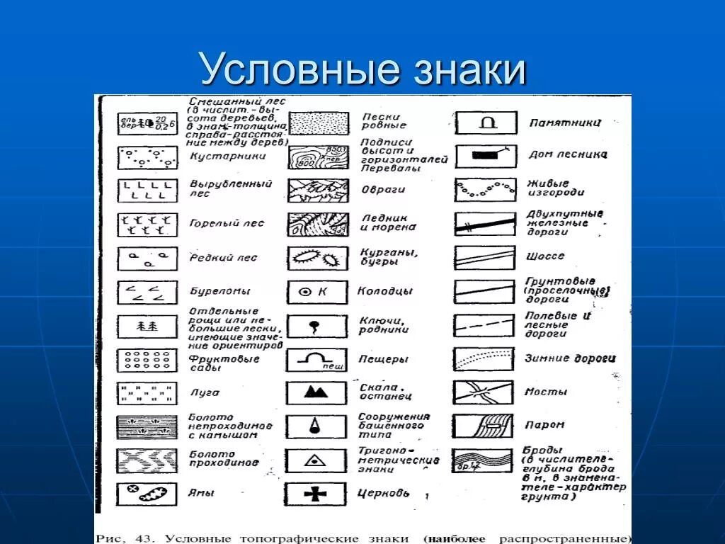 Условные знаки города москвы. Обозначение грунта на топографических картах. Обозначение хвойного леса на топографической карте. Обозначения на топографической карте расшифровка. Расшифровка изображения топографических знаков.