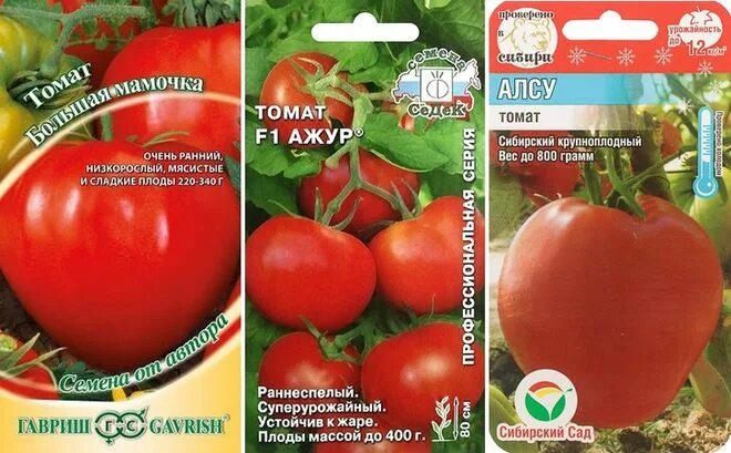 Крупноплодные сорта томатов для открытого. Низкорослые крупноплодные сорта томатов. сорт низкорослых помидор раннеспелых томатов. сорта помидор для теплиц ,низкорослые,крупноплодные.. сорт помидор низкорослые скороспелые для открытого грунта.