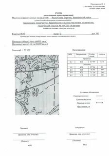 Договор купли лесных насаждений