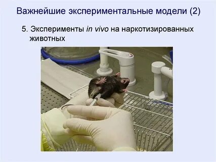 Примеры моделирования экспериментов